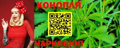 индика Боровичи