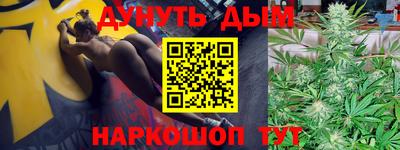 индика Боровичи