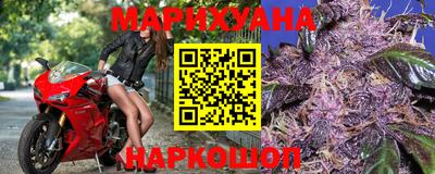 индика Боровичи