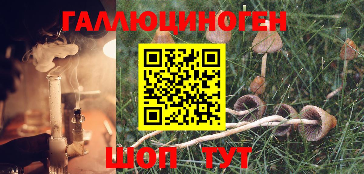 Галлюциногенные грибы GOLDEN TEACHER Новокубанск